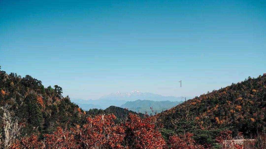 济南高新区:以